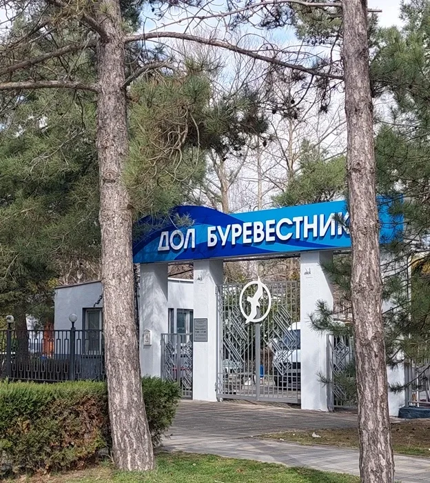 Детский оздоровительный лагерь Буревестник (Анапа) Описание фото #4