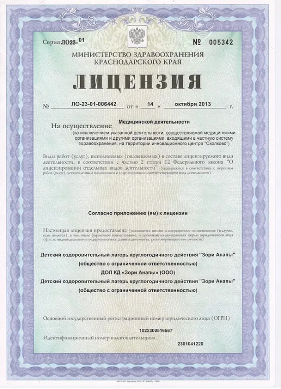 Детский оздоровительный лагерь Зори Анапы Безопасность и медицина фото #1