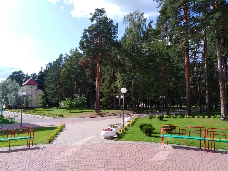 Детский санаторно-оздоровительный комплекс Жемчужина БЕЛАРУСЬ описание фото #7